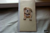 bulldog puppy
